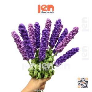 Hoa lavender